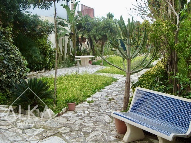 PHOTO-2025-11-18-19-09-52 2