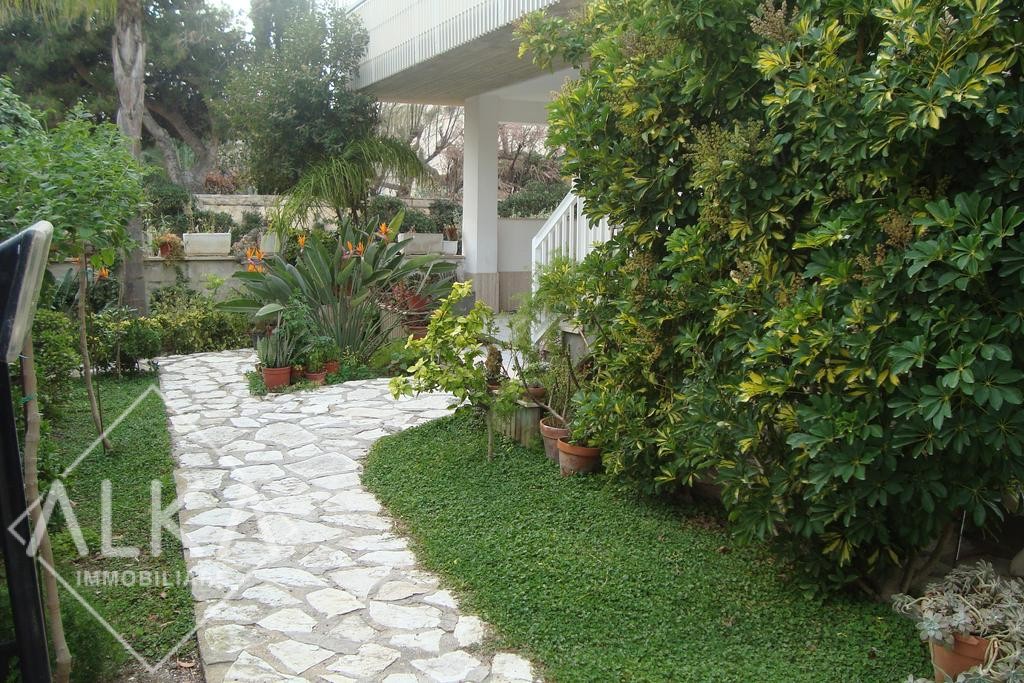 PHOTO-2025-11-18-19-09-55-1