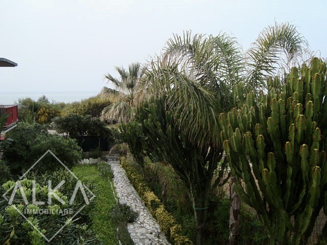 PHOTO-2025-11-18-19-09-56-2 2