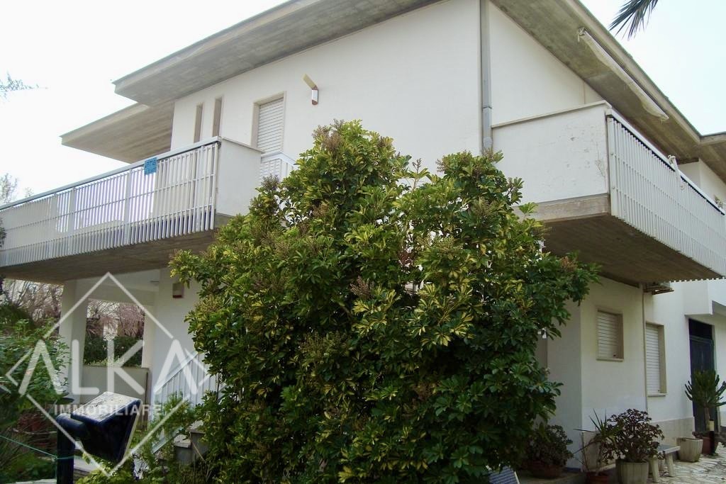 PHOTO-2025-11-18-19-09-56 2