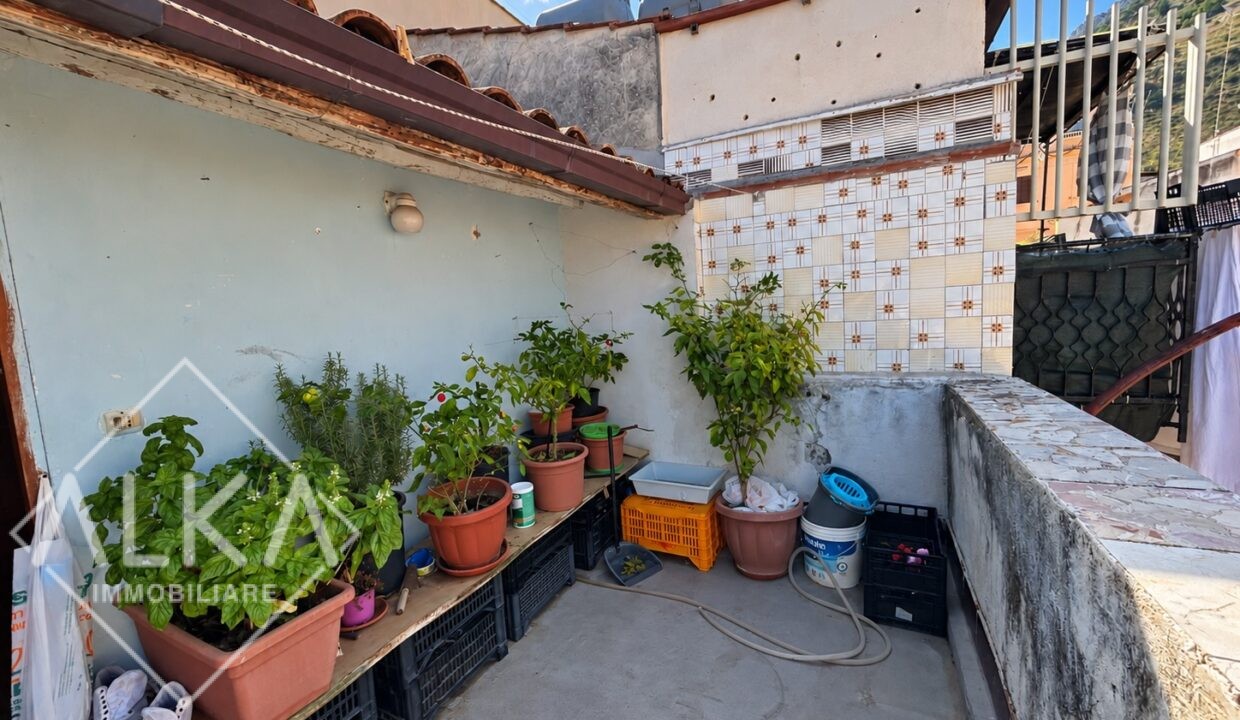 Terrazza soleggiata tra piante e vasi